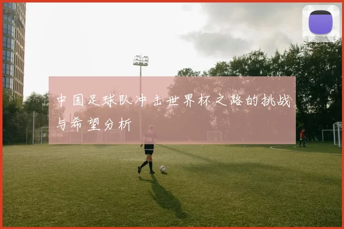 中国足球队冲击世界杯之路的挑战与希望分析
